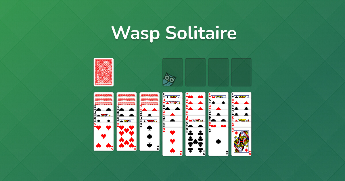 Wasp